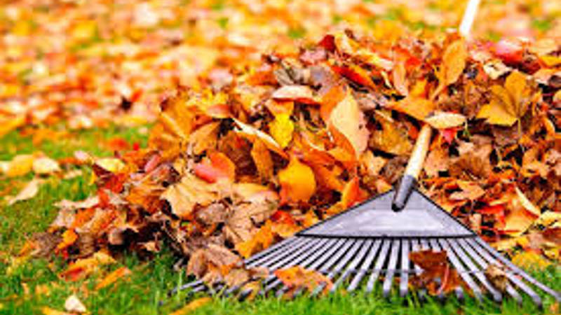 Städdag på klubben