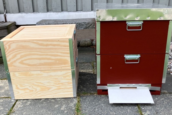 Rapport från Bikupan