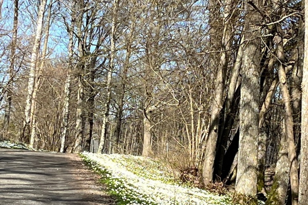 Herrtouren den 22 april