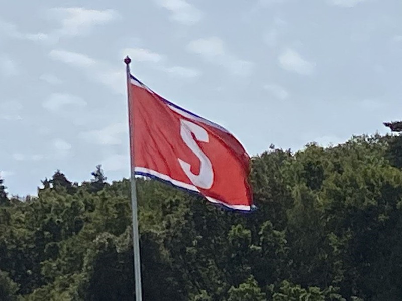 Var med & sponsra damernas verksamhet